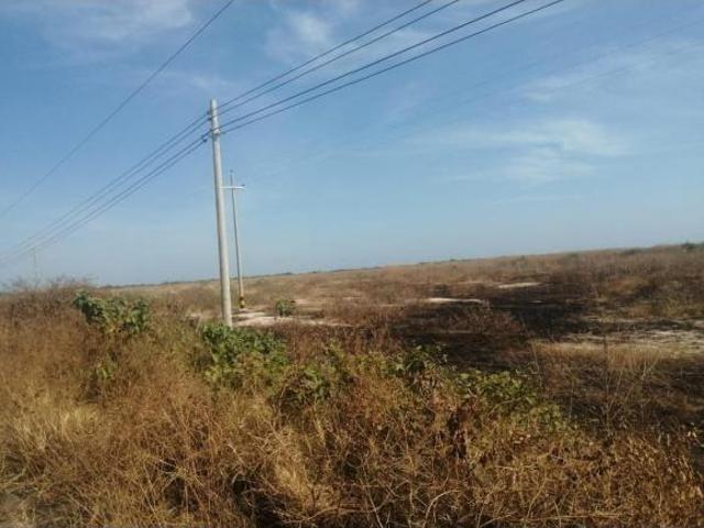 VENDO TERRENO DE 54.75 HECTAREAS EN TUMBES ZARUMILLA CON FRENTE A LA PANAMERICANA