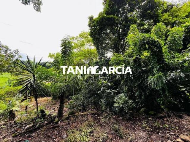 Terreno en venta en Yanga, Veracruz