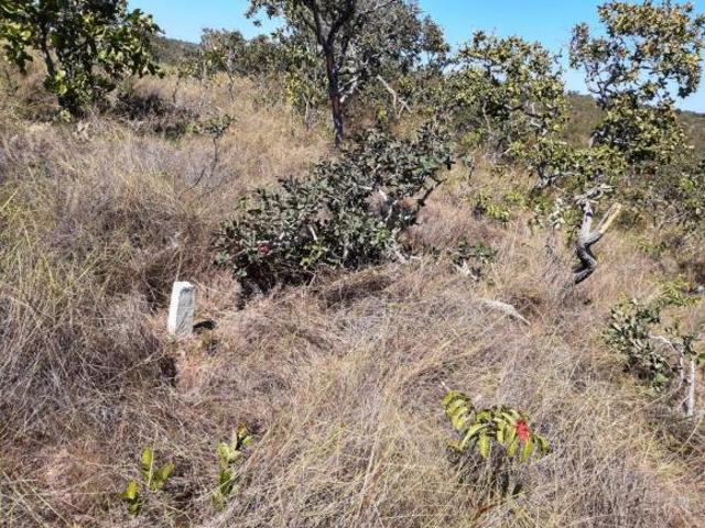 Terreno venda em Região Geográfica Imediata de Unaí, Arinos