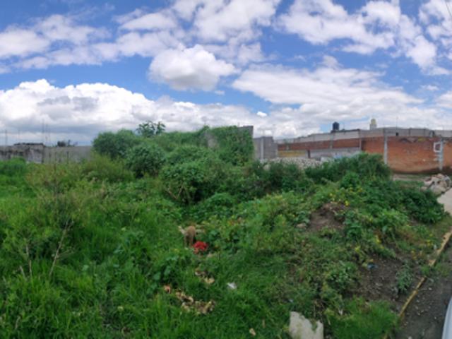 Terreno en venta en Amozoc, Puebla