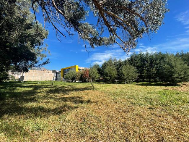 Terreno venta en Cajamarca