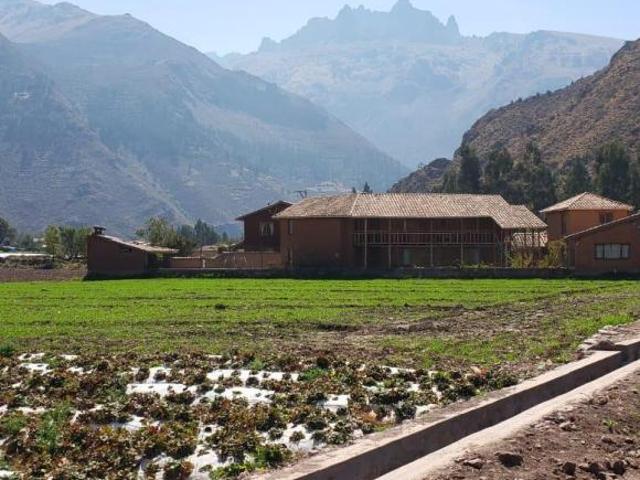 VENDO TERRENO EN SILLACANCHA VALLE SAGRADO CUSCO