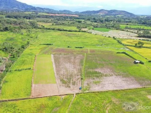 Terreno venta en San Martin