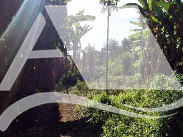 Terreno venda em Cambaquara, Ilhabela
