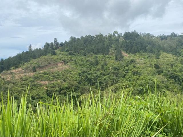 Terreno en venta en Los Samanes, Bolívar
