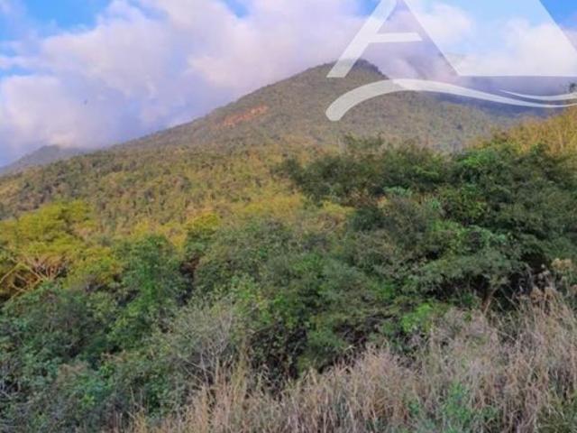 Terreno venda em Zabumba, Ilhabela
