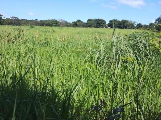 Terreno venda em Região Geográfica Imediata de Unaí, Arinos