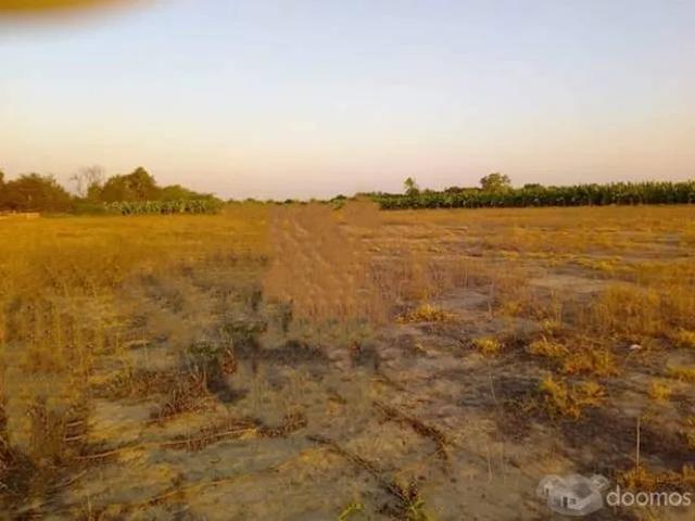 Terreno venta en Morropon, Piura