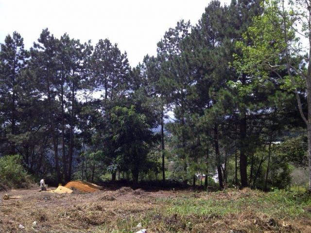 Terreno en venta en Boca De Uchire, Miranda