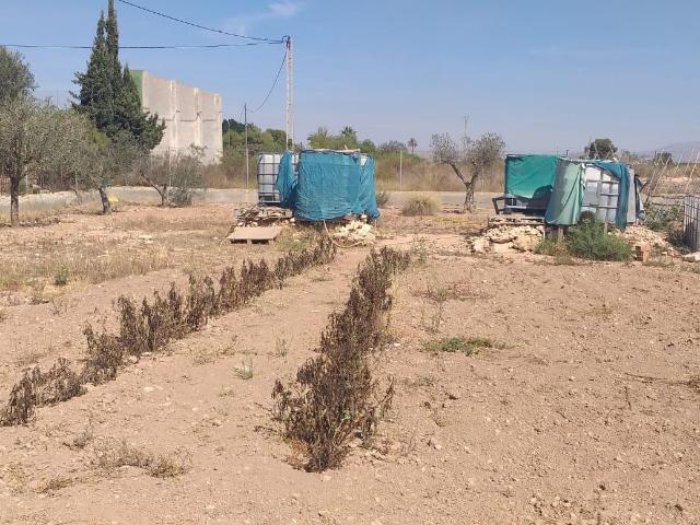 Terreno en venta en Carrús Oest, el Baix Vinalopó