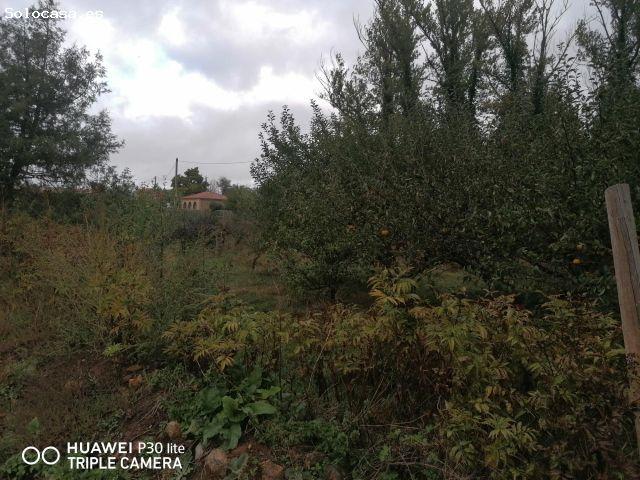 Local Comercial en venta en Alconaba