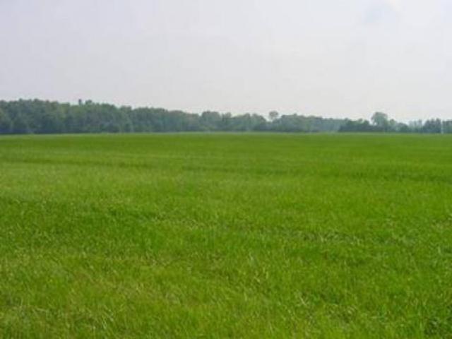 Terreno in vendita a Vicenza, Veneto