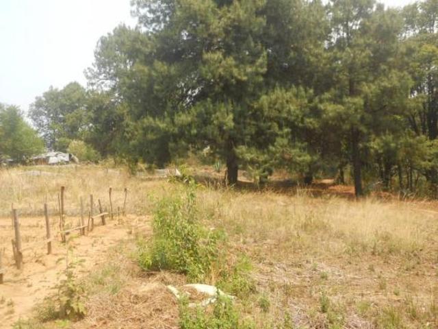 Terreno en venta en Zacango, Villa Guerrero