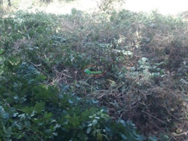 Terreno venda em Região Geográfica Imediata de Sete Lagoas, Sete Lagoas