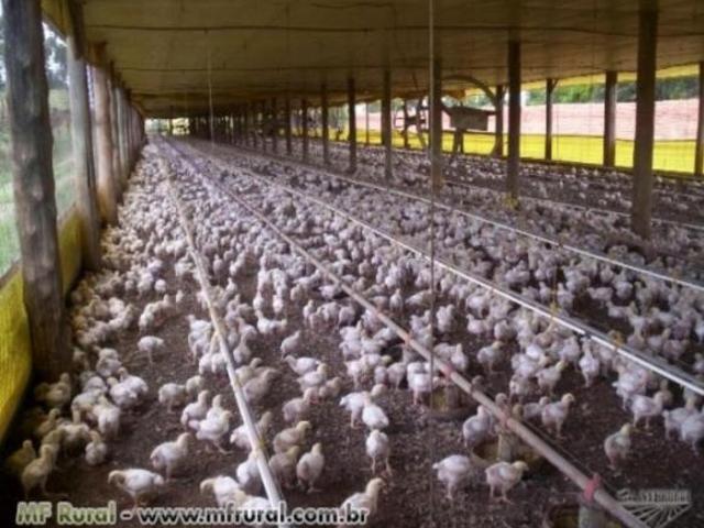 Sítio e chácara venda em Itapetininga, São Paulo