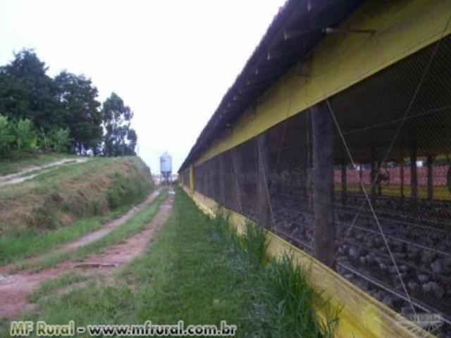 Sítio e chácara venda em Região Imediata de Itapetininga, Região Metropolitana de Sorocaba