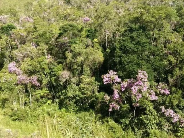 Fazenda venda em Natividade da Serra