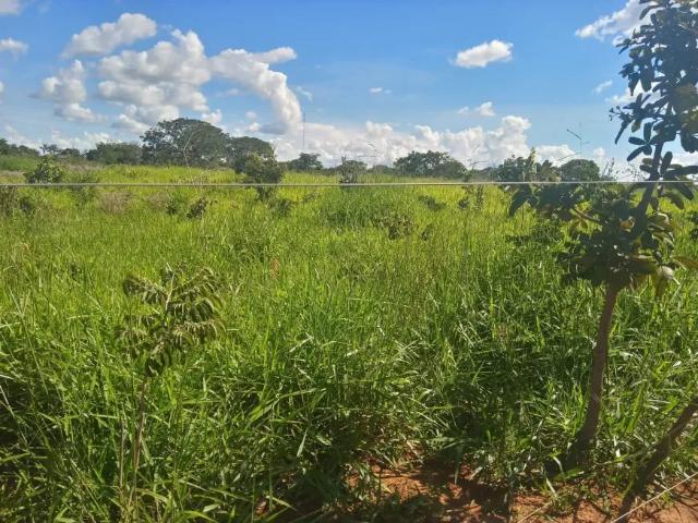 Fazenda venda em Região Geográfica Imediata do Distrito Federal, Região Integrada de Desenvolvimento do Distrito Federal e Entorno