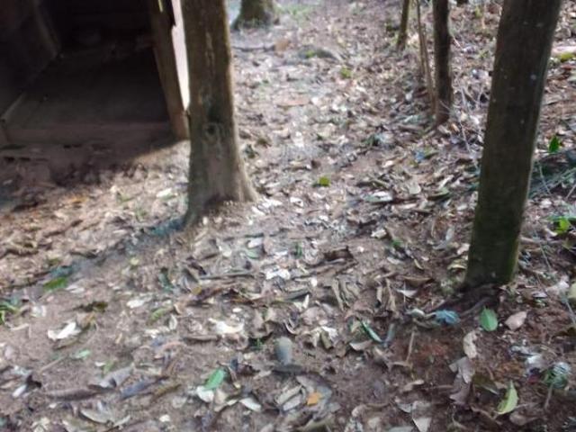 Sítio e chácara venda em Região Imediata de São Paulo, Região Metropolitana de São Paulo