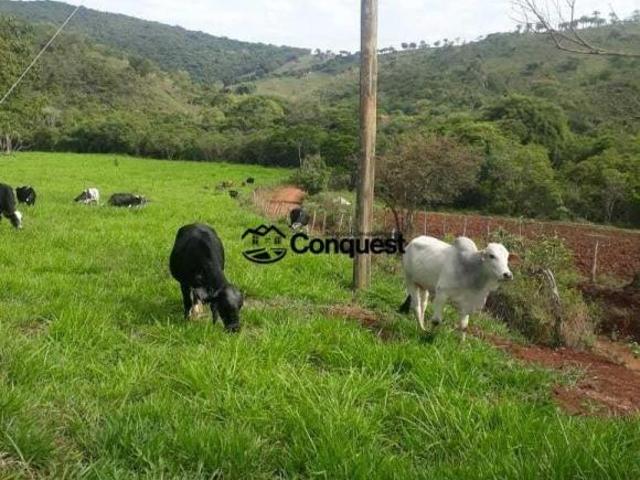 Sítio e chácara venda em Região Geográfica Imediata de Conselheiro Lafaiete, Entre Rios de Minas