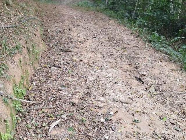 Sítio e chácara venda em Juquitiba, São Paulo