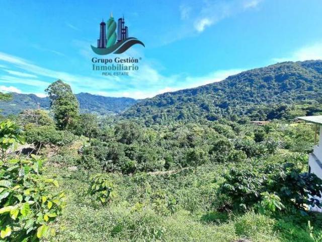 VENDO UNA HECTAREA+ EN JARAMILLO ARRIBA CENTRO