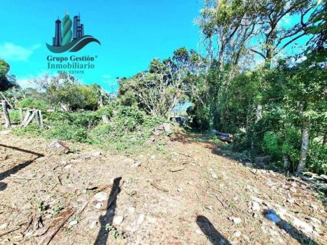 VENDO UNA HECTAREA+ EN JARAMILLO ARRIBA CENTRO