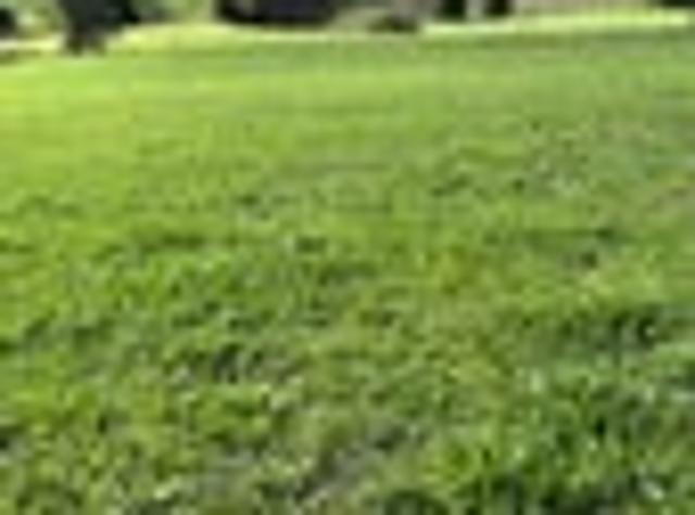 Land for sale in Taranaki