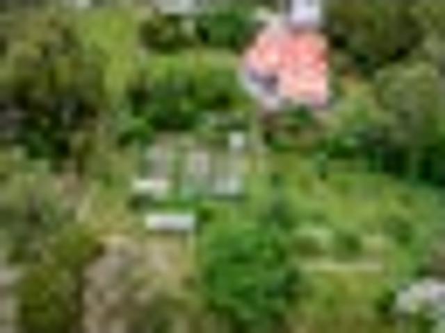 House for sale in Tararua District