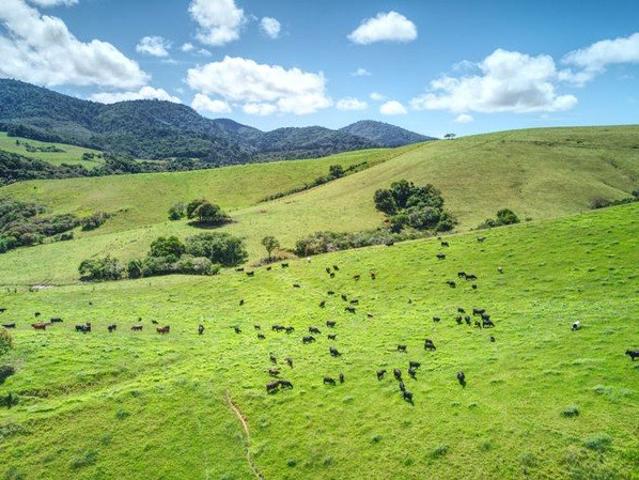 Cottage for sale in Dorrigo, New South Wales
