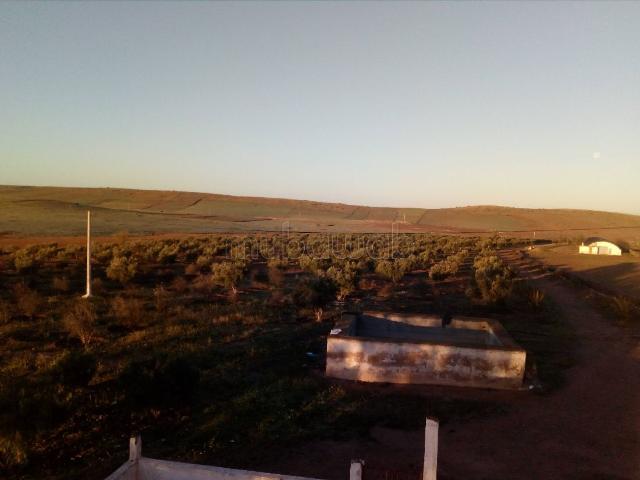 Ferme vente à L'Oriental