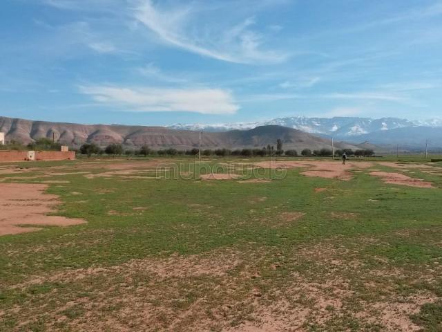Terrain vente à Ouarzazate
