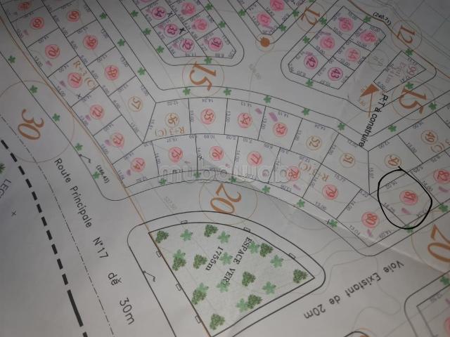 Terrain vente à Ben Slimane