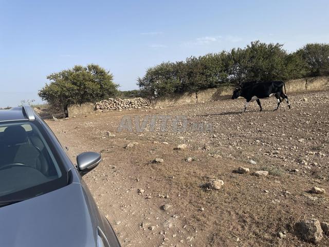 Propriété vente à Oulad Salah, Gharb-Chrarda-Beni Hssen