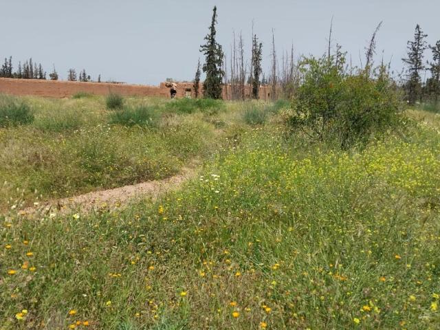 Terrain vente à Marrakech, L'Oriental