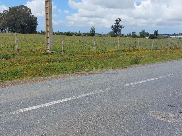 Terrain vente à Ben Slimane, Chaouia-Ouardigha