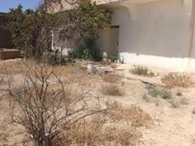 Maison vente à Guercif