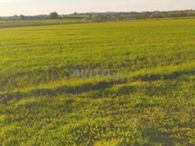 Propriété vente à Slimane, Gharb-Chrarda-Beni Hssen