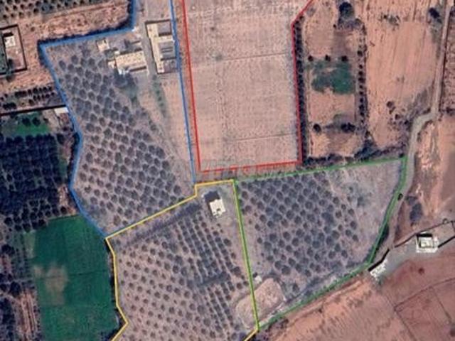 Propriété vente à Oued ed Dahab-Lagouira