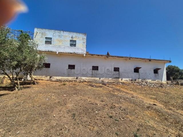 Terrain vente à Assilah, Tanger-Tétouan