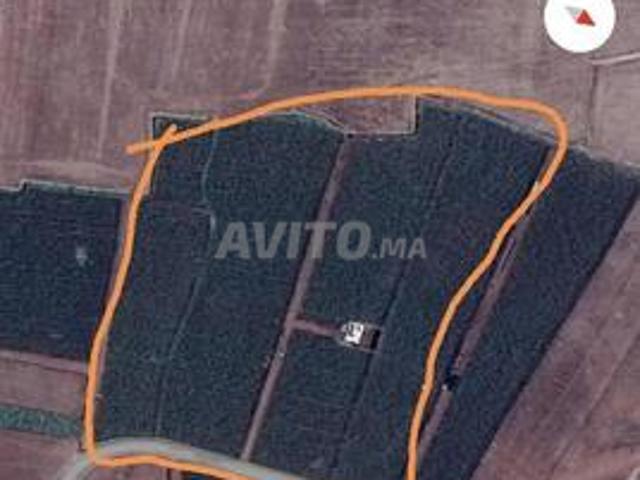 Propriété vente à El Ma, Gharb-Chrarda-Beni Hssen