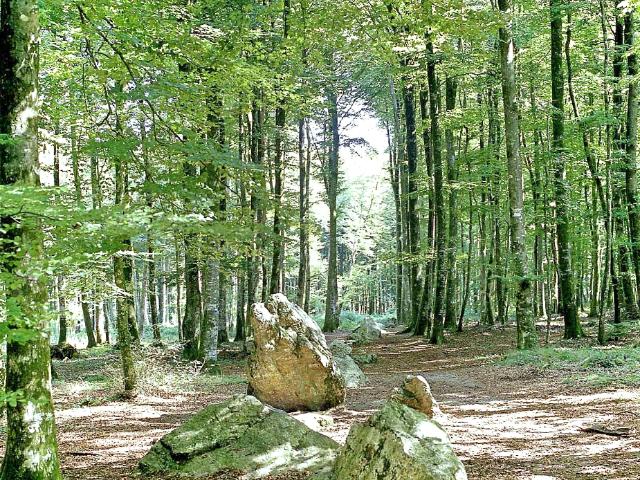 Appartement vente à Rennes, Bretagne