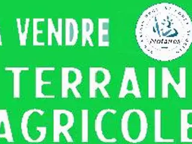 Terrain vente à Saint-Amand-Montrond, Venesmes