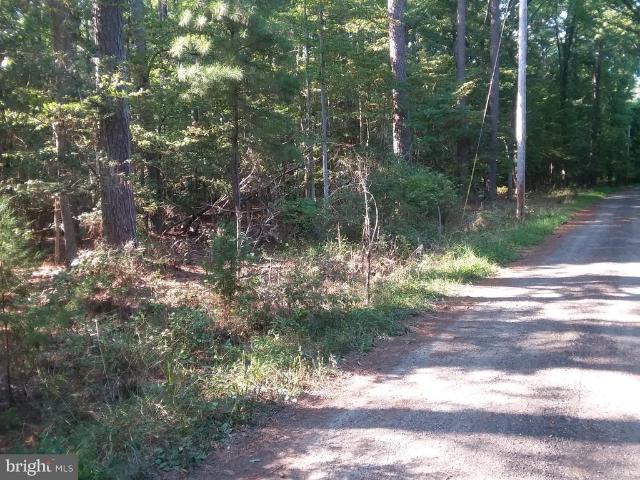 Land for sale in Issue, Maryland