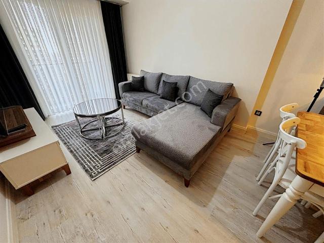 Gaziosmanpaşa, İstanbul içerisinde kiralık mülk
