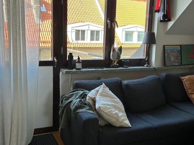 Lägenhet hyra i Gotland, Skåne