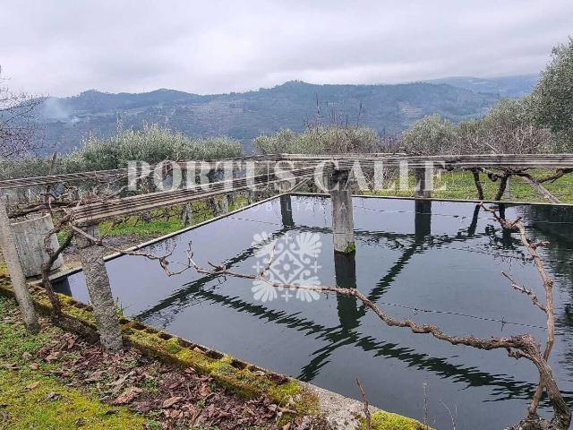 Terreno venda em Paradinha e Nagosa, Viseu