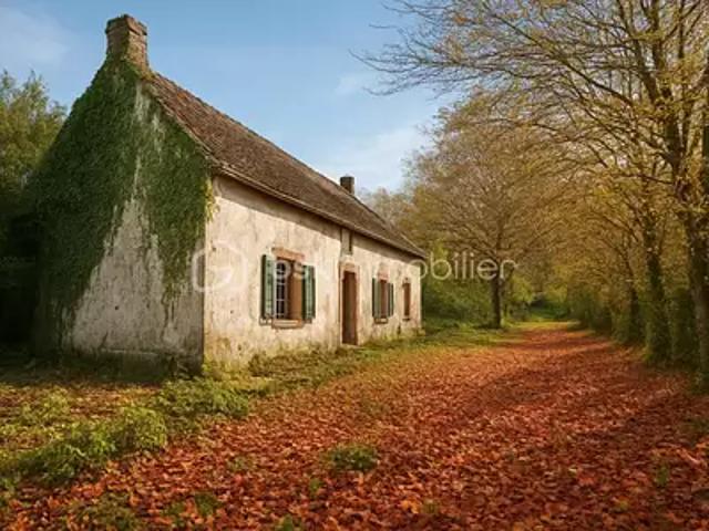 Maison vente à Auxerre, Venizy