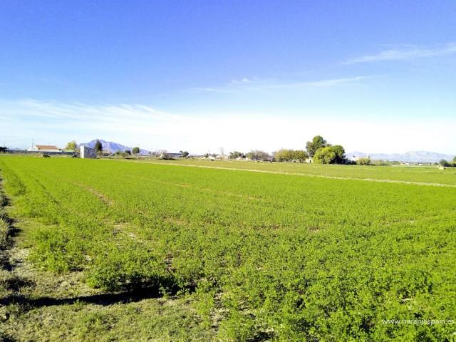Casa en venta en el Baix Segura / La Vega Baja, Valencia