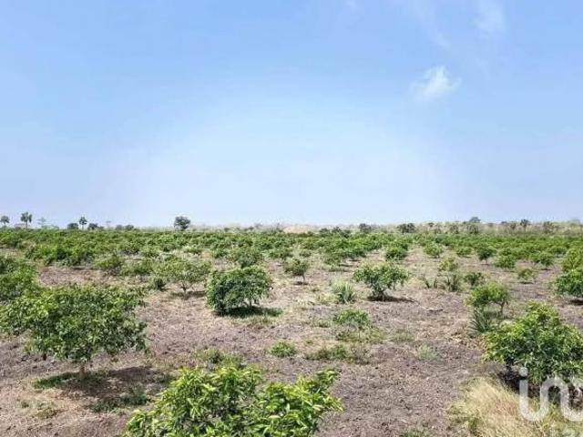 Terreno en venta en Estación Agrarios, Tampico Alto